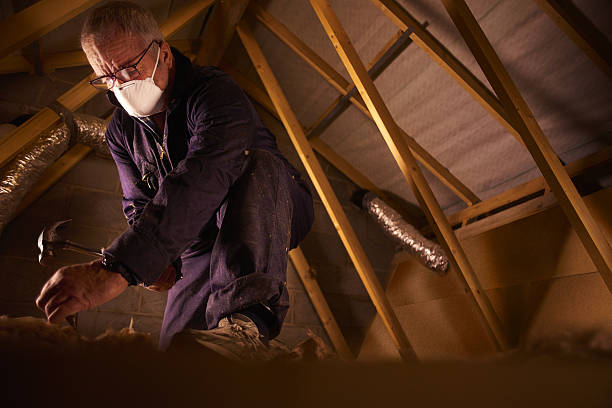 Best Specialty Insulation in Denison, IA